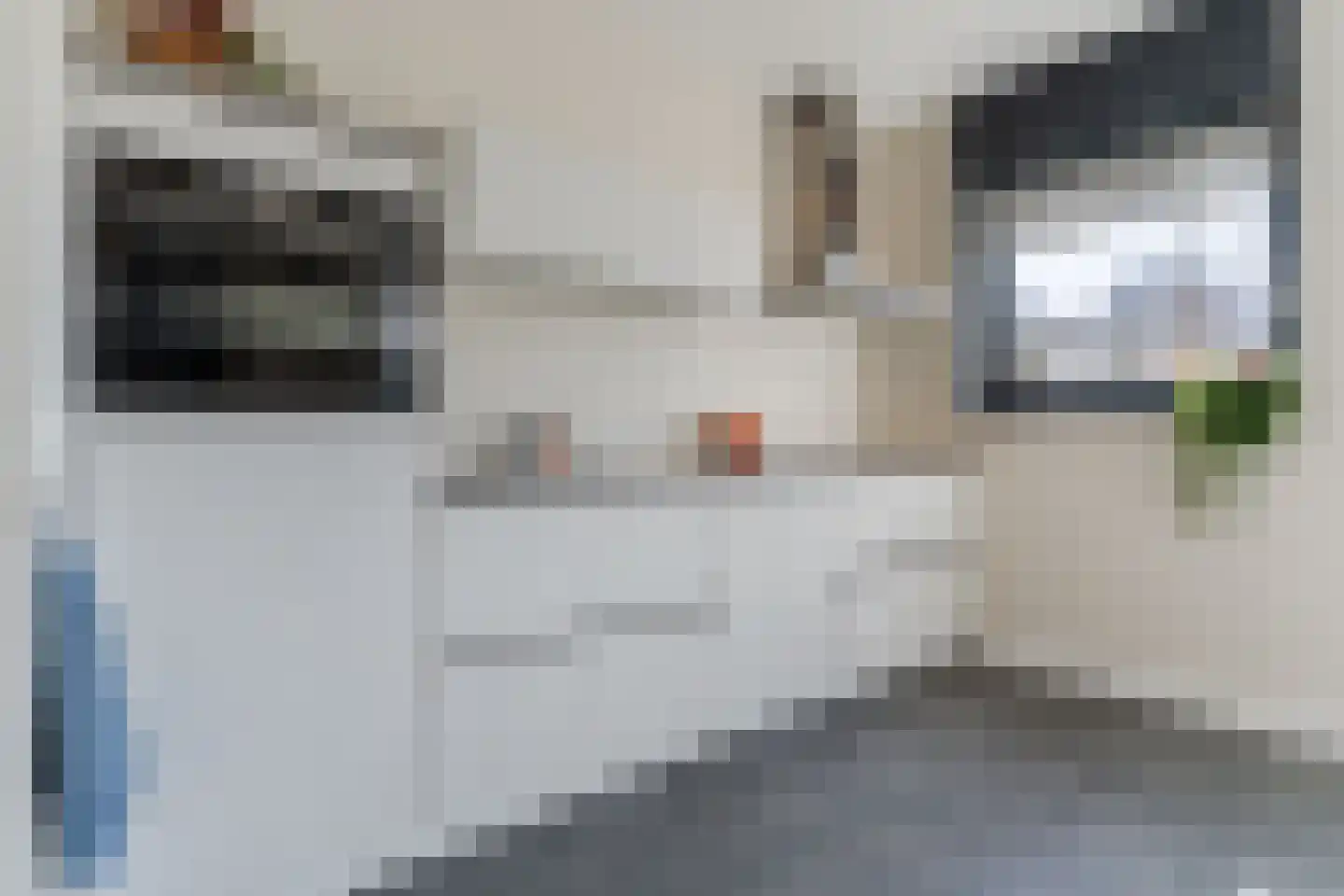 Dokter Ruttenpark 13 Sterksel thumbnail 21