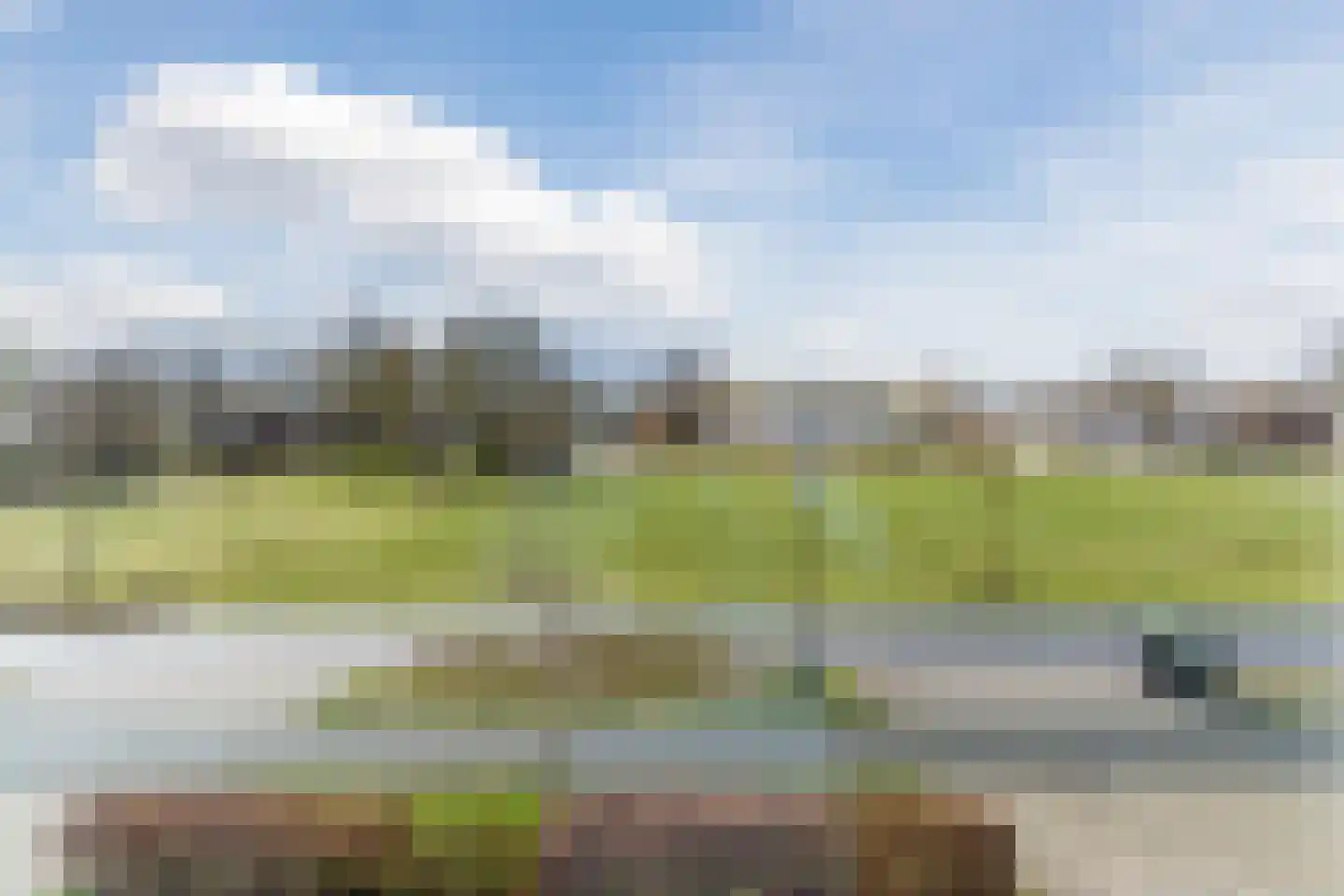 Dokter Ruttenpark 13 Sterksel thumbnail 29