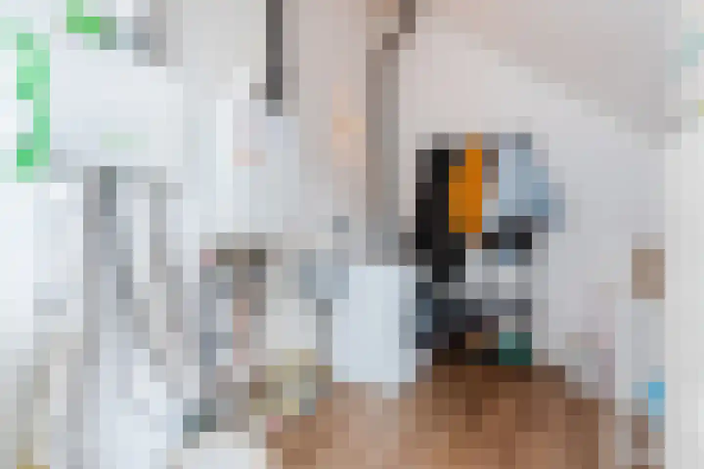 Dokter Ruttenpark 13 Sterksel thumbnail 41