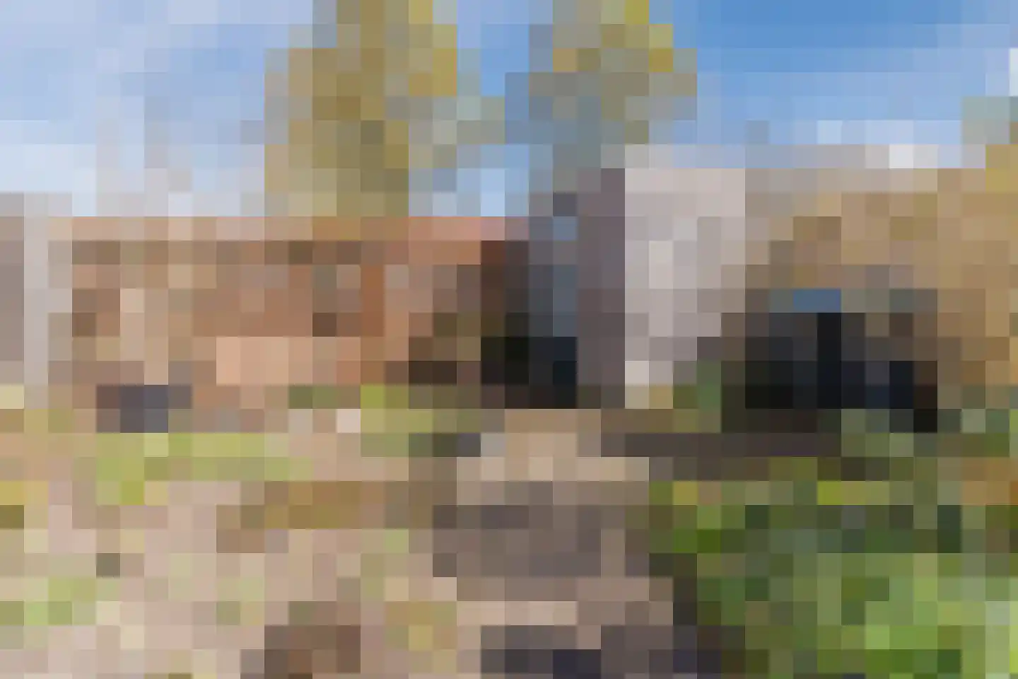 Dokter Ruttenpark 13 Sterksel thumbnail 52