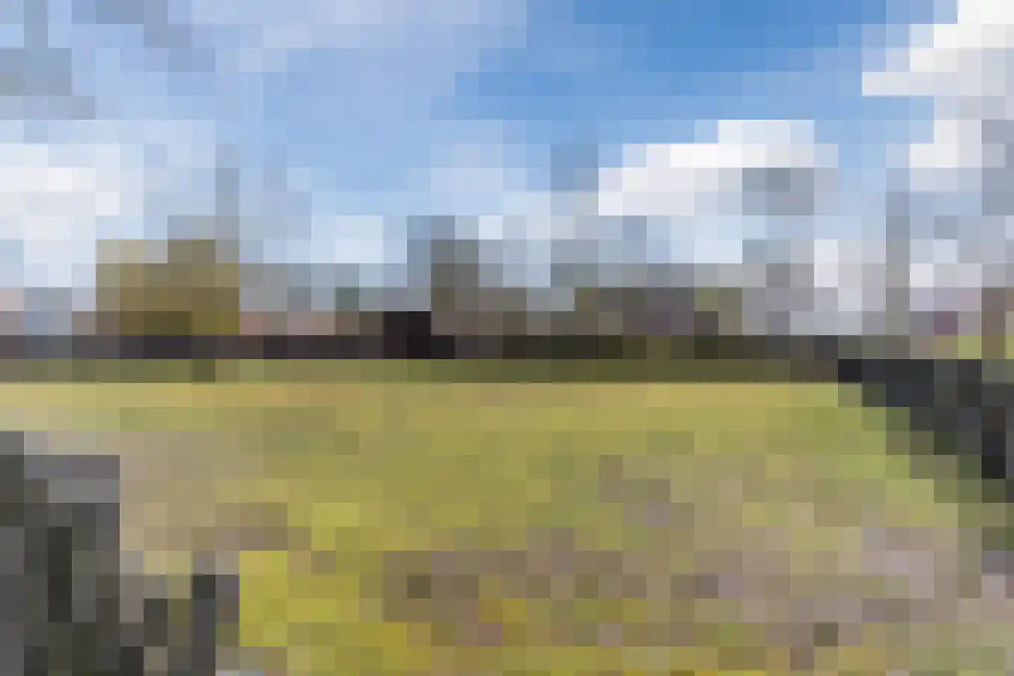 Dokter Ruttenpark 13 Sterksel thumbnail 61