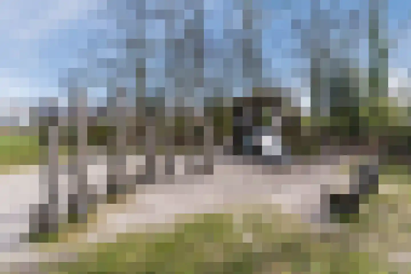 Dokter Ruttenpark 13 Sterksel thumbnail 63