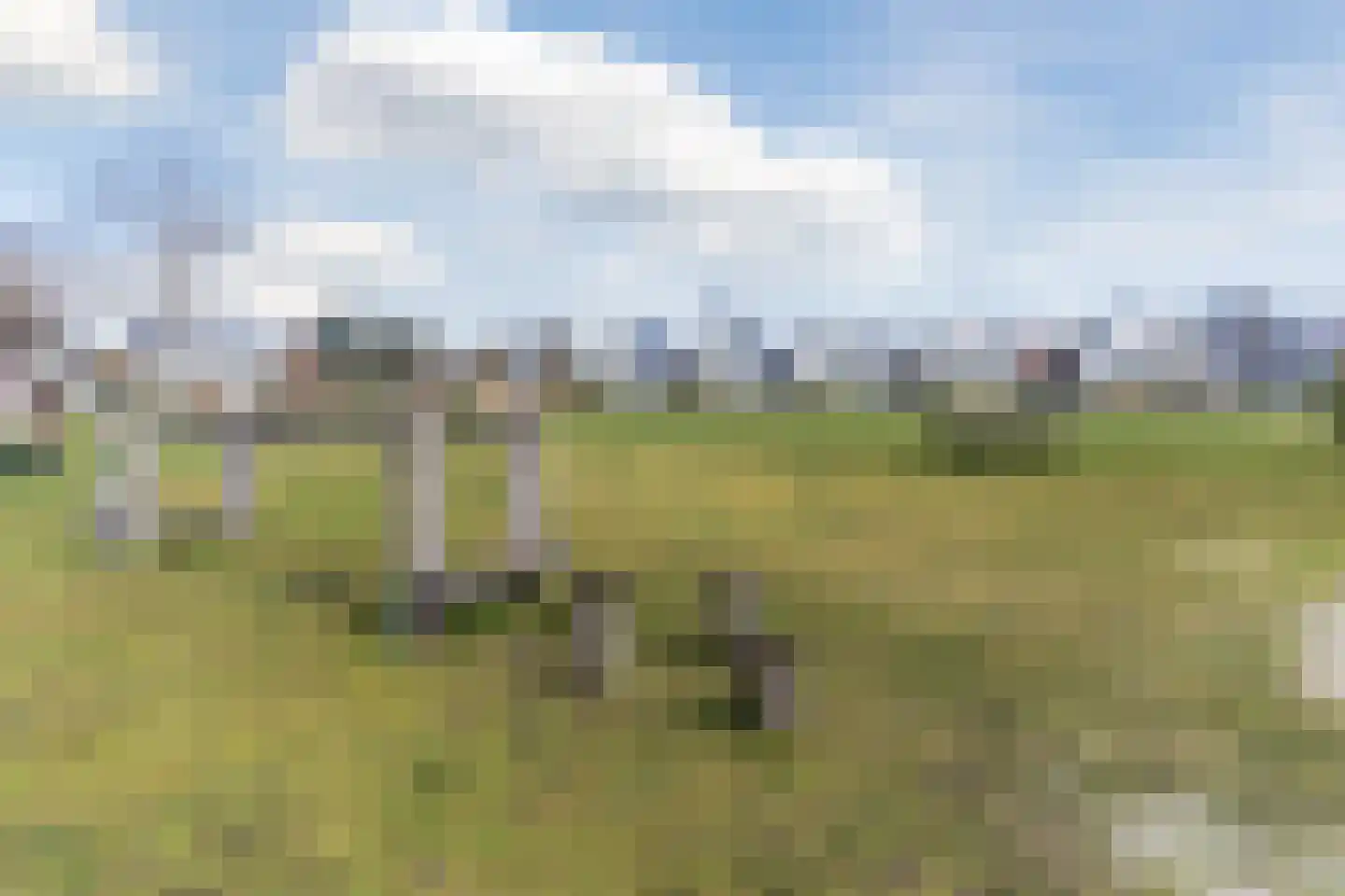Dokter Ruttenpark 13 Sterksel thumbnail 64