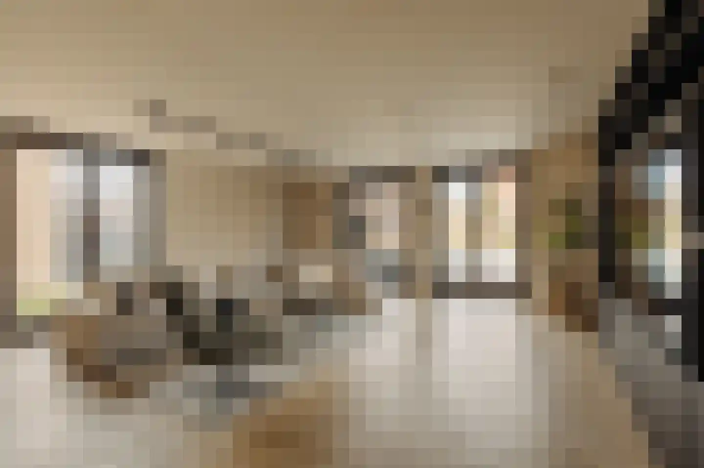 dokter Sabelstraat 14 Badhoevedorp thumbnail 4