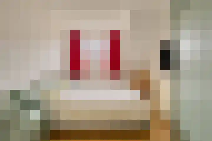 Dokter Schepelstraat 1 Gulpen thumbnail 11