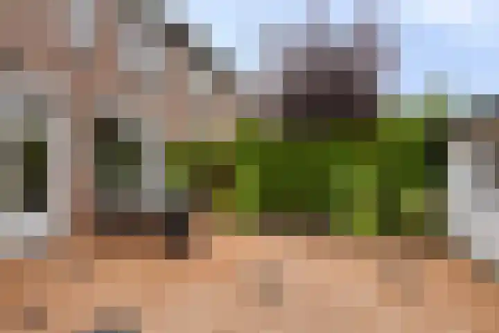 Dokter Schepelstraat 1 Gulpen thumbnail 19