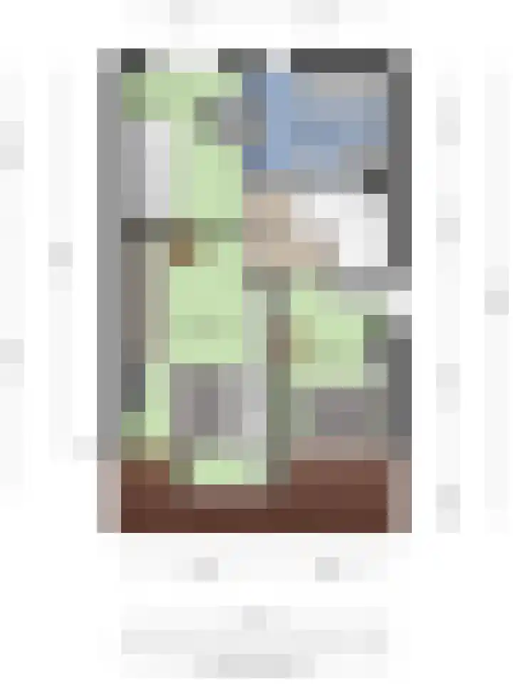 Dokter Schepelstraat 1 Gulpen thumbnail 25