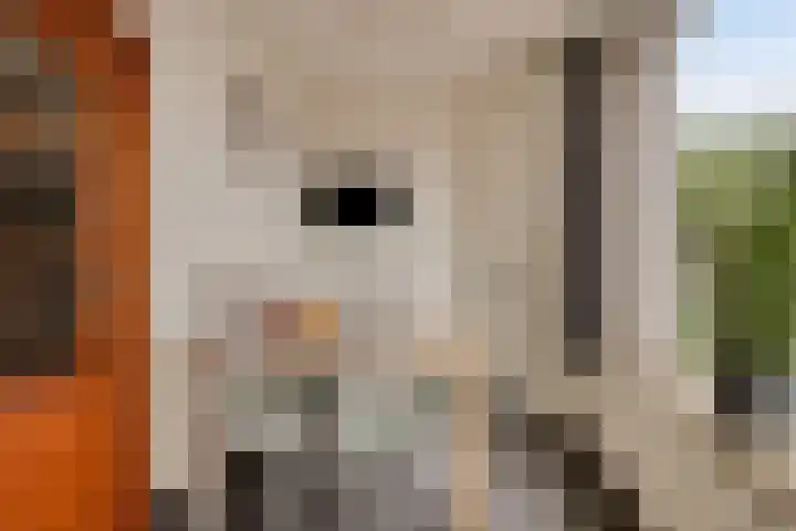 Dokter Schepelstraat 1 Gulpen thumbnail 5
