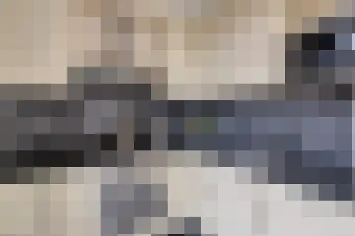 Dokter Schepelstraat 1 Gulpen thumbnail 7