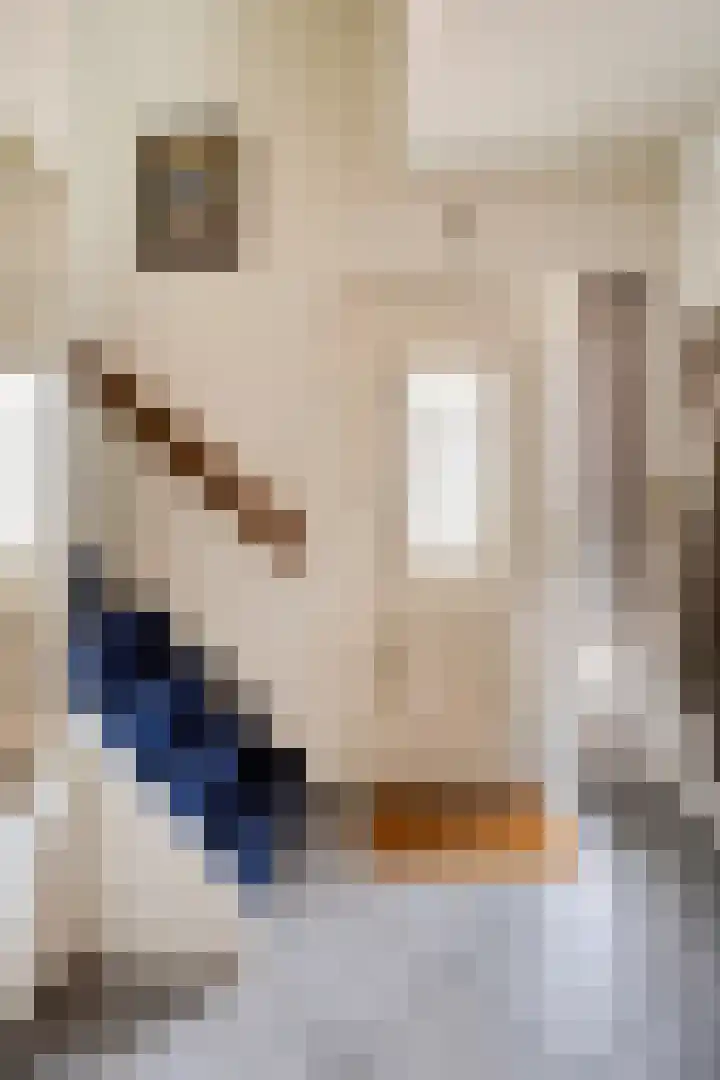 Dokter Schepelstraat 1 Gulpen thumbnail 8