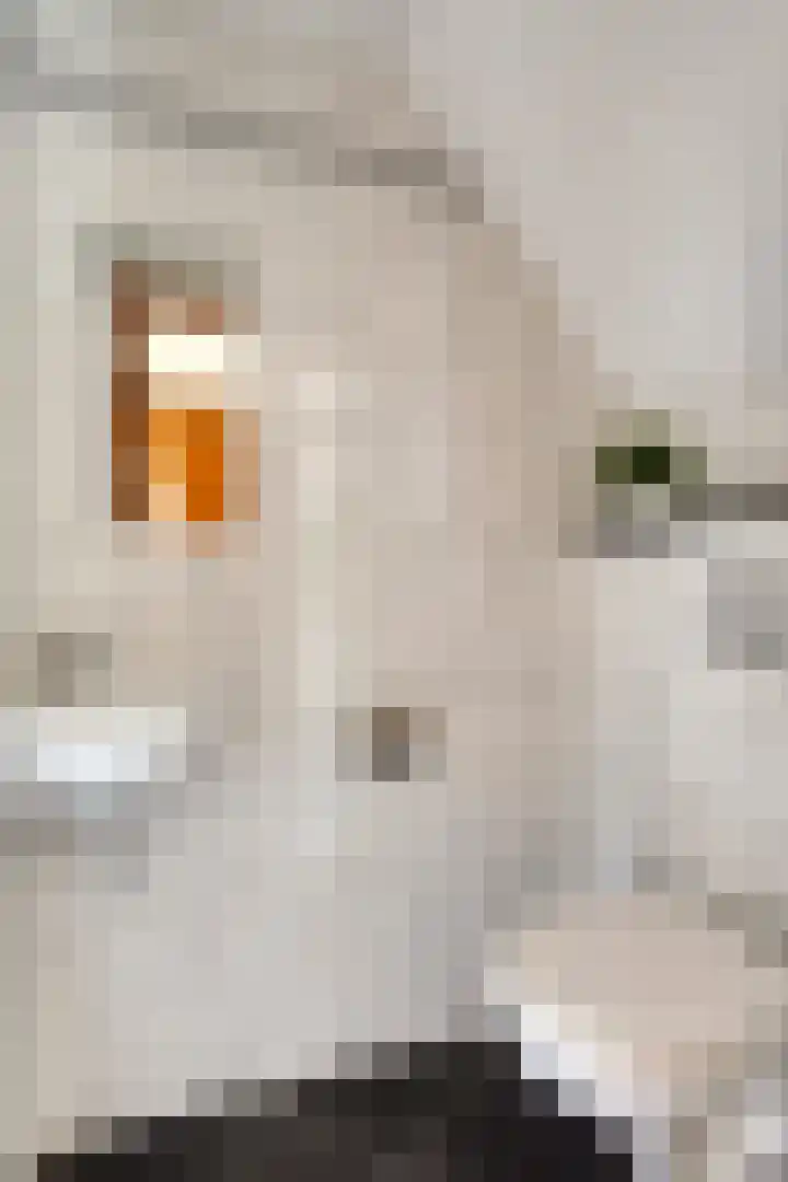 Dokter Schepelstraat 1 Gulpen thumbnail 9