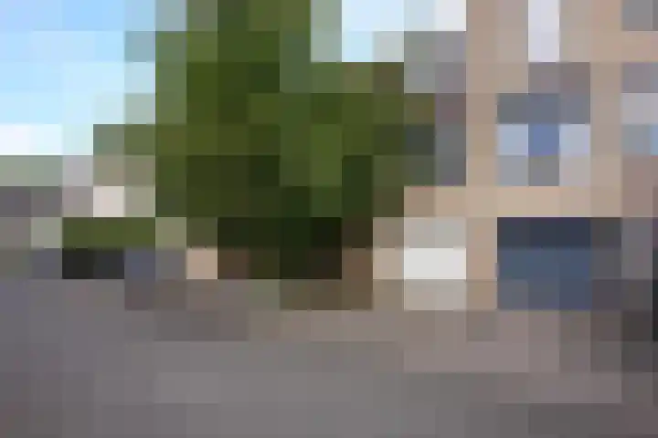 Dokter Schepelstraat 12 Gulpen foto 2