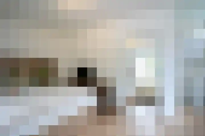 Dokter Schepelstraat 13 Gulpen thumbnail 13