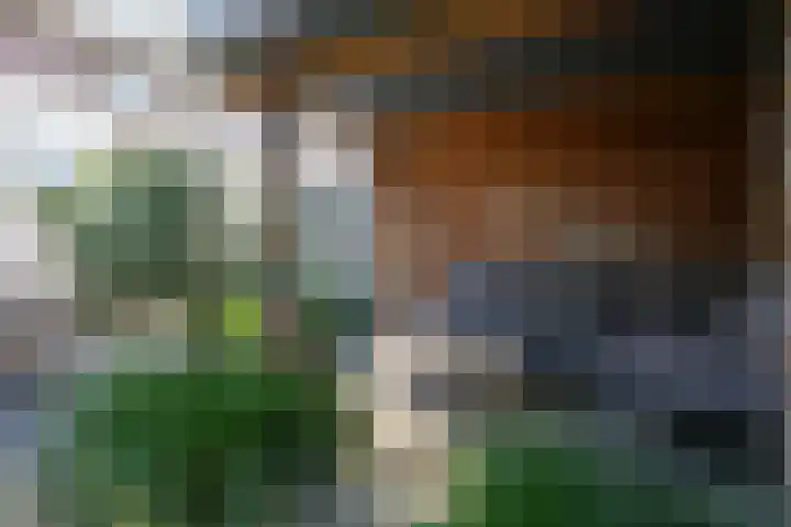 Dokter Schepelstraat 13 Gulpen thumbnail 16