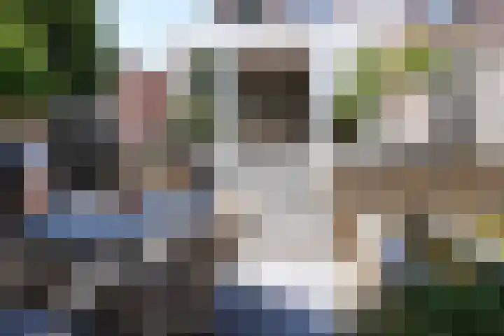 Dokter Schepelstraat 13 Gulpen thumbnail 19