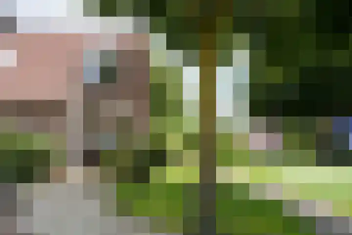 Dokter Schepelstraat 13 Gulpen thumbnail 21