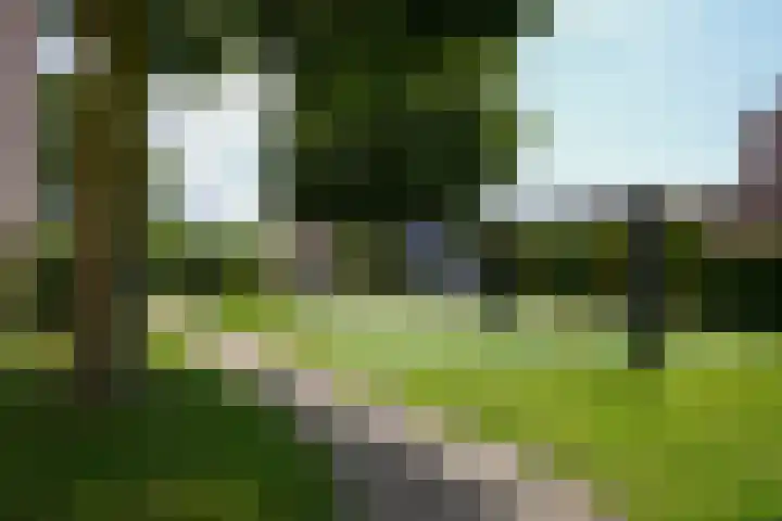 Dokter Schepelstraat 13 Gulpen thumbnail 23