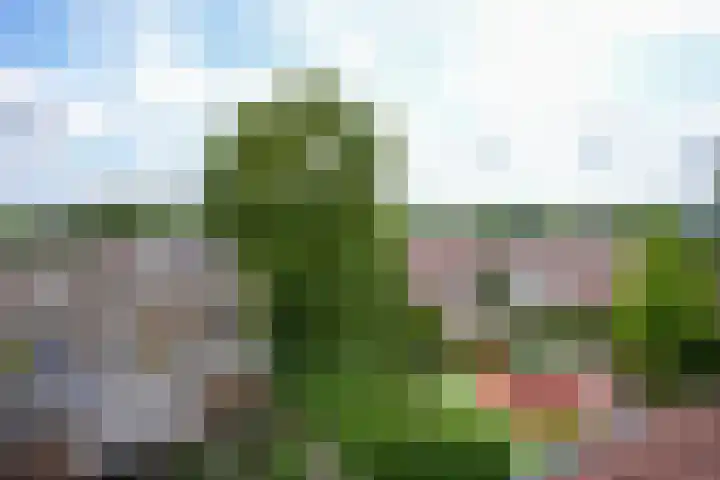 Dokter Schepelstraat 13 Gulpen thumbnail 24