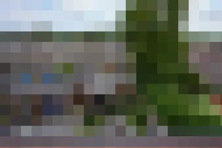 Dokter Schepelstraat 13 Gulpen thumbnail 25