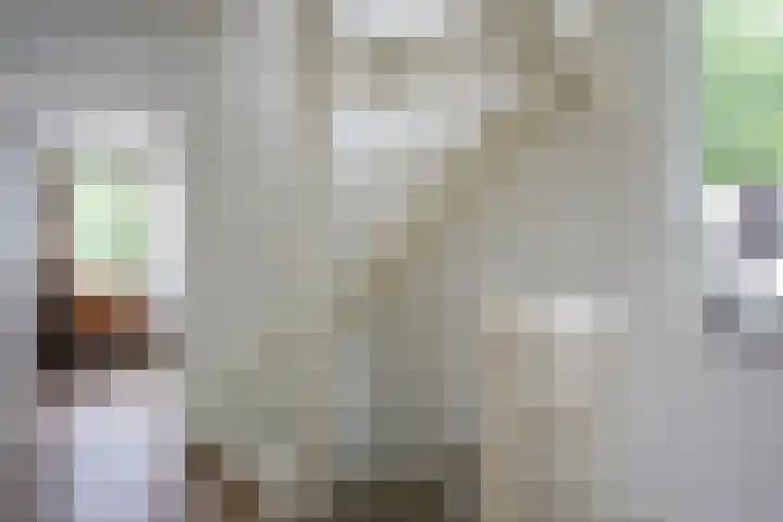 Dokter Schepelstraat 13 Gulpen thumbnail 8