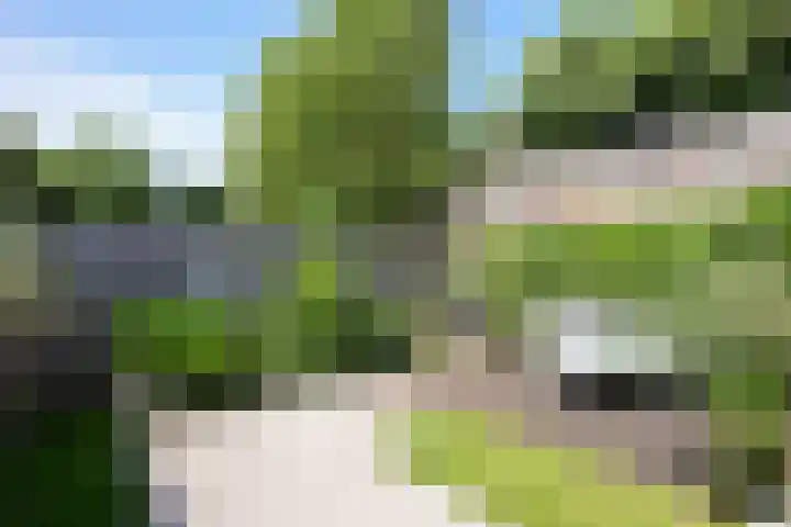 Dokter Schepelstraat 24 Gulpen thumbnail 12
