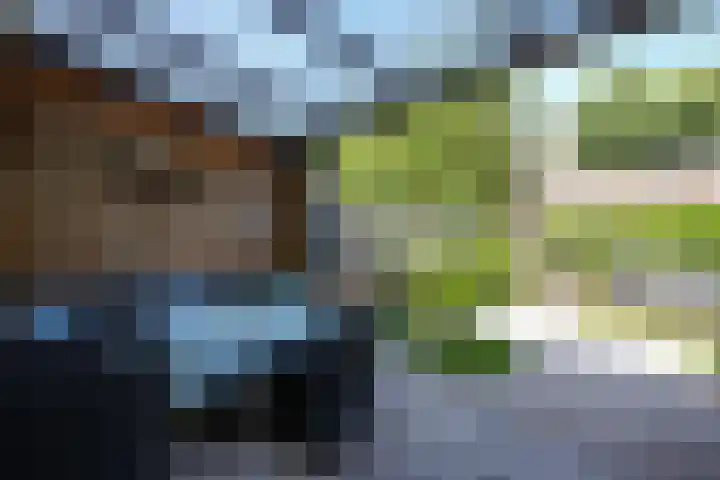 Dokter Schepelstraat 24 Gulpen thumbnail 9