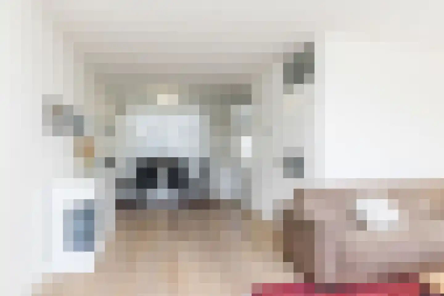 Dokter Schepelstraat 4 Gulpen thumbnail 9