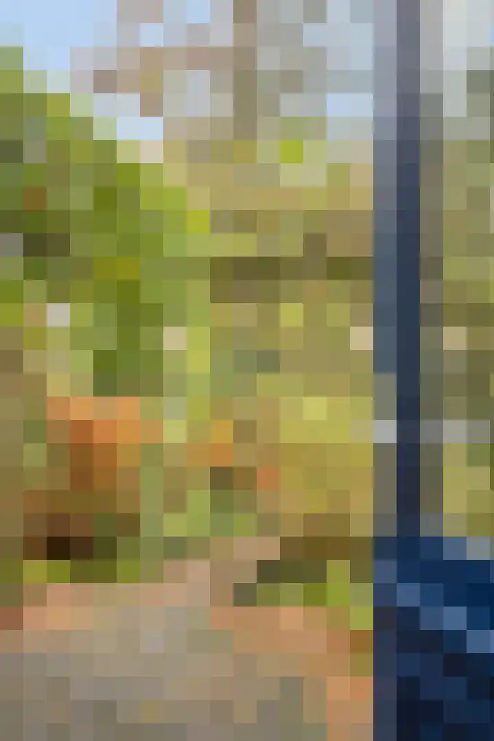 Dokter Schoonenbeeklaan 13 Soest thumbnail 19