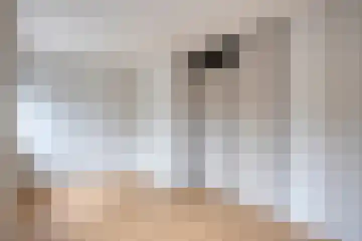 Dokter Schoonenbeeklaan 13 Soest thumbnail 22