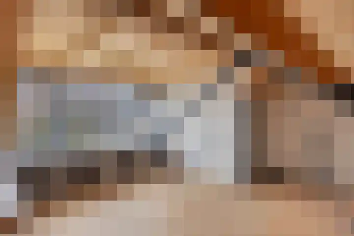 Dokter Schoonenbeeklaan 13 Soest thumbnail 29