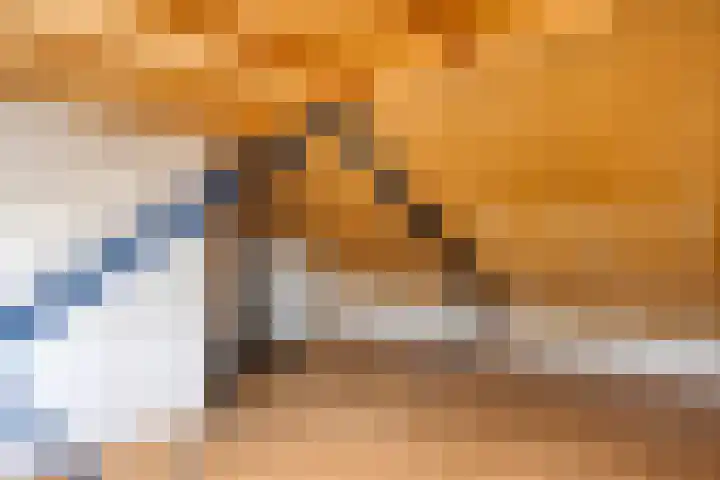 Dokter Schoonenbeeklaan 13 Soest thumbnail 30