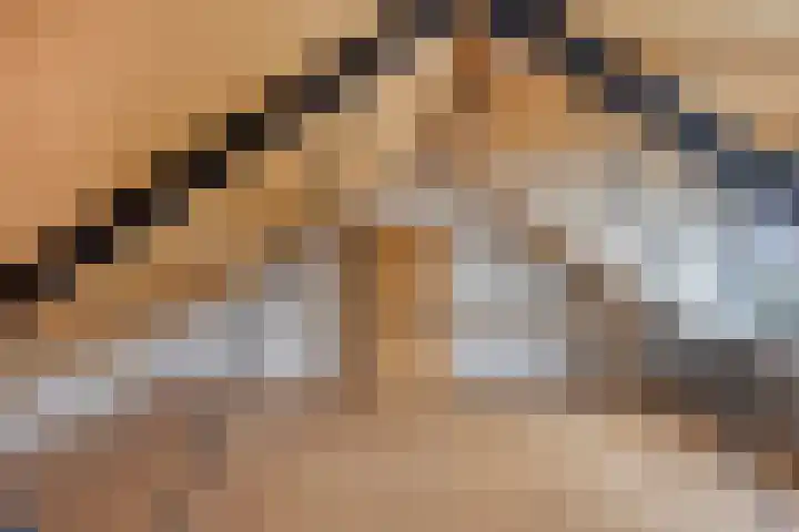 Dokter Schoonenbeeklaan 13 Soest thumbnail 31