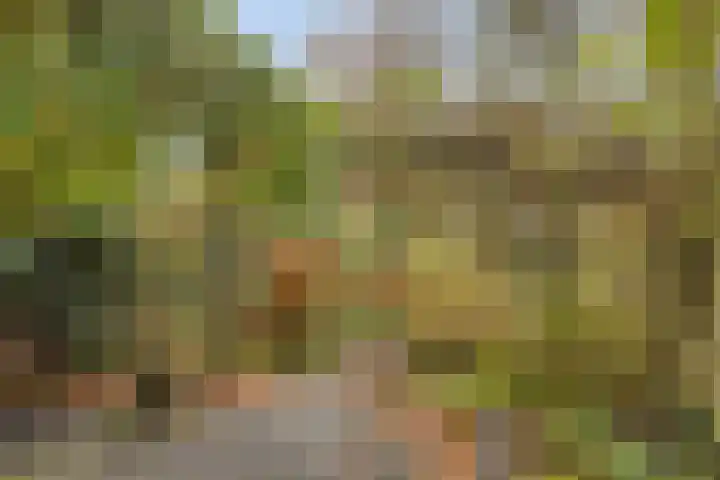 Dokter Schoonenbeeklaan 13 Soest thumbnail 32