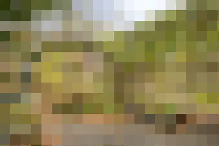 Dokter Schoonenbeeklaan 13 Soest thumbnail 33