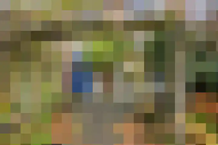 Dokter Schoonenbeeklaan 13 Soest thumbnail 34