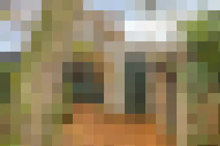 Dokter Schoonenbeeklaan 13 Soest thumbnail 35