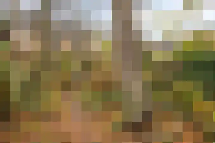 Dokter Schoonenbeeklaan 13 Soest thumbnail 36
