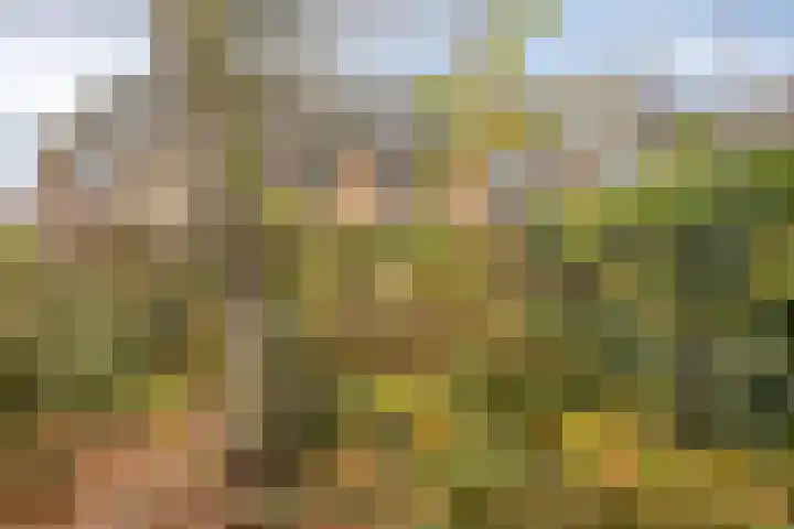 Dokter Schoonenbeeklaan 13 Soest thumbnail 37