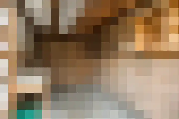 Dokter Schoonenbeeklaan 13 Soest thumbnail 38
