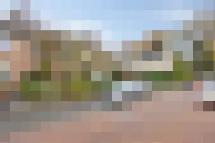 Dokter Schoonenbeeklaan 13 Soest thumbnail 41