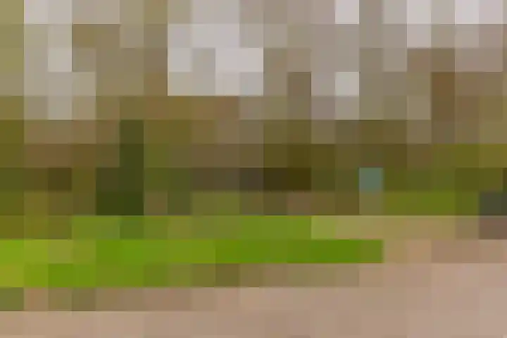 Dokter Schoonenbeeklaan 13 Soest thumbnail 43