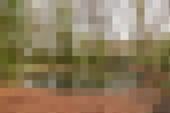 Dokter Schoonenbeeklaan 13 Soest thumbnail 44