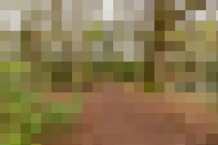 Dokter Schoonenbeeklaan 13 Soest thumbnail 45