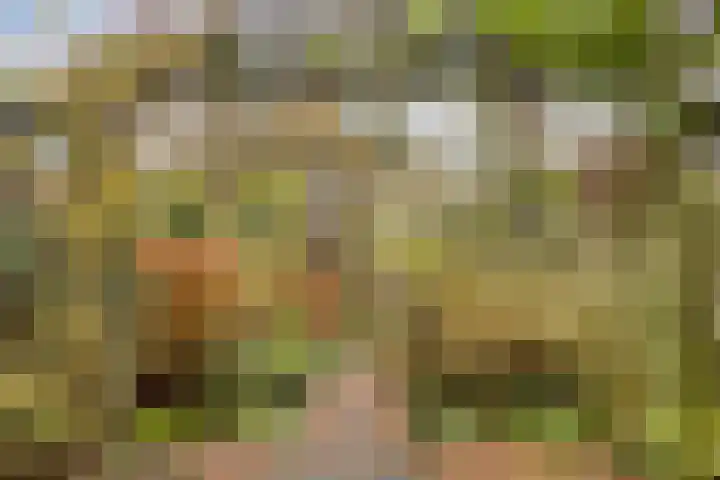 Dokter Schoonenbeeklaan 13 Soest thumbnail 5