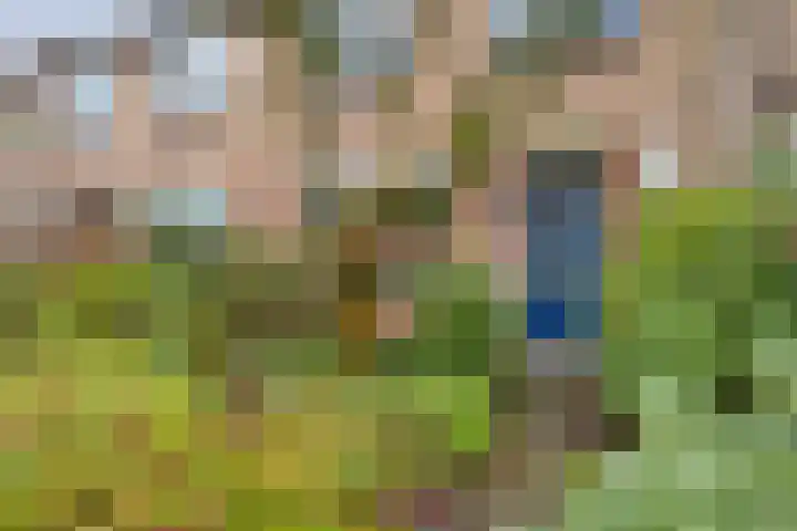 Dokter Schoonenbeeklaan 13 Soest thumbnail 6