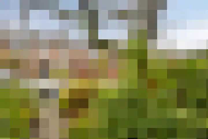 Dokter Schoonenbeeklaan 13 Soest thumbnail 7