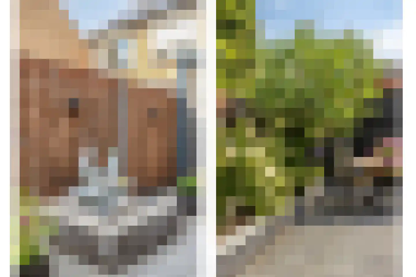 Dokter Schöyerstraat 93 Gorinchem thumbnail 30