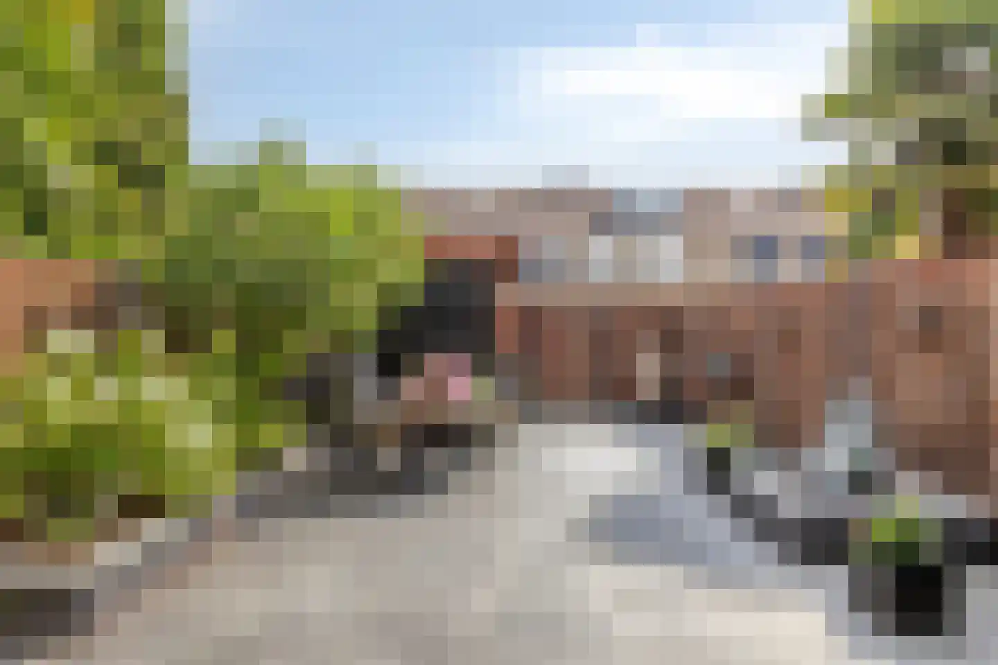 Dokter Schöyerstraat 93 Gorinchem thumbnail 5