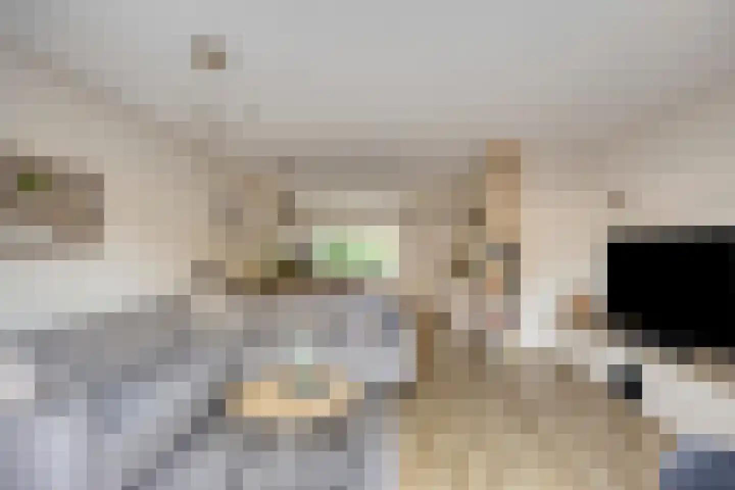 Dokter Schreuderstraat 13 Zwammerdam thumbnail 11
