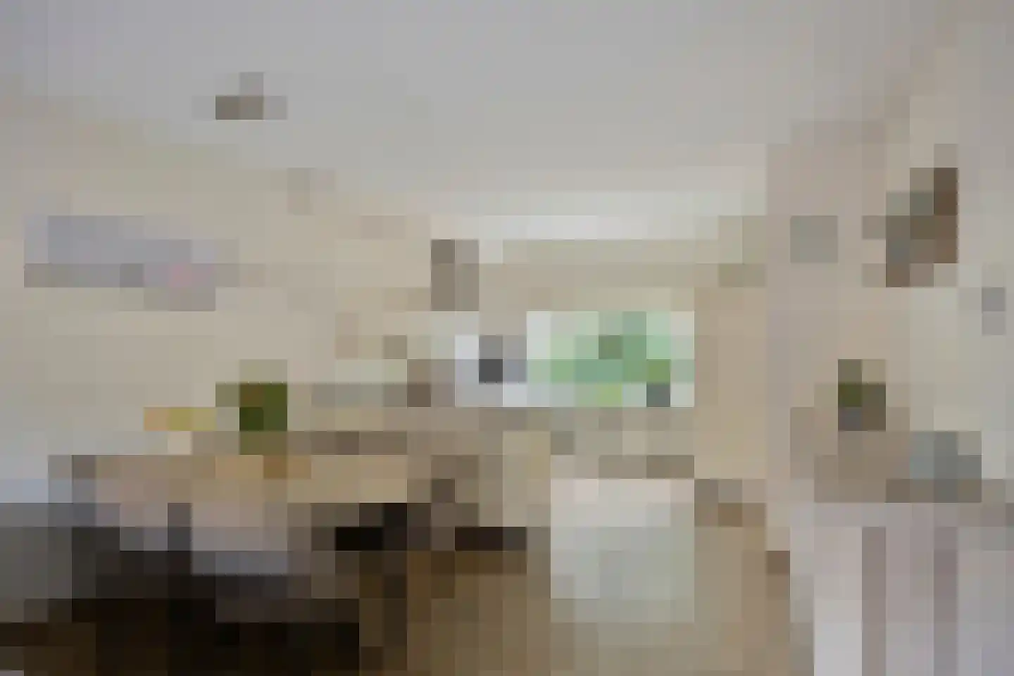 Dokter Schreuderstraat 13 Zwammerdam thumbnail 12